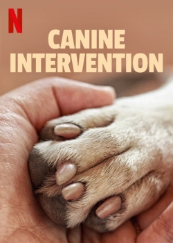 Canine Intervention-hd