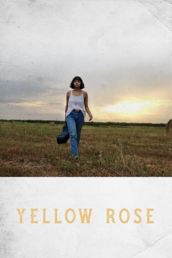 Yellow Rose-hd