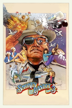 Smokey and the Bandit Part 3-hd