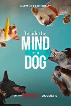 Inside the Mind of a Dog-hd