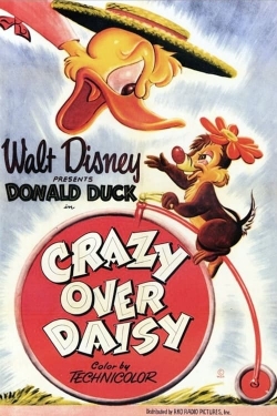 Crazy Over Daisy-hd
