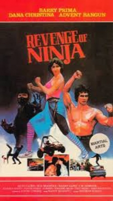 Revenge of the Ninja-hd