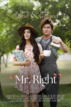 Mr. Right-hd