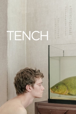 Tench-hd